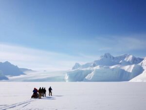 expedition zum nordpol